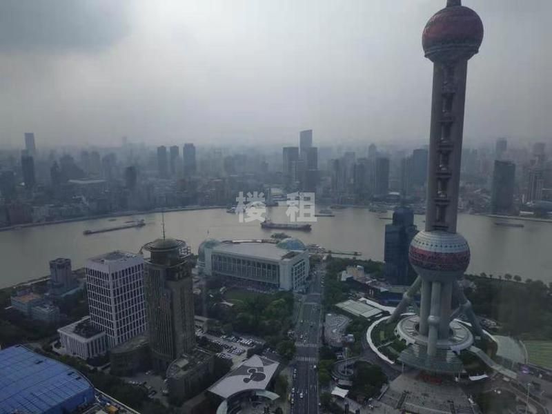 上海国金中心，高区，看东方明珠，房型方正，
